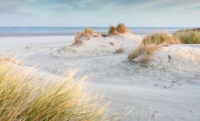 Die Nordsee in Holland – wunderschön zu jeder Jahreszeit