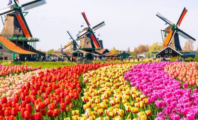 Der Keukenhof – Diese Gartenanlage vergisst du nie mehr