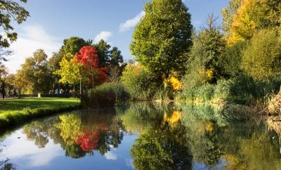 Vondelpark in Amsterdam – 47 Hektar grüne Oase mitten in der Großstadt