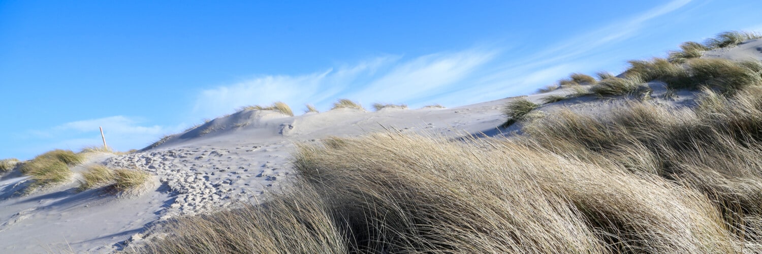 Wattenmeer Strand